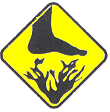 Korallen