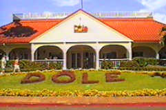 Dole Plantation