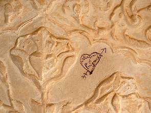 Idioten gibt es überall