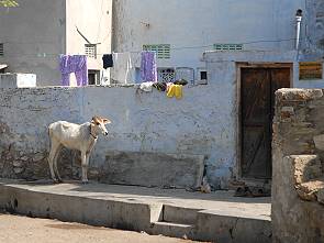 Verkäufer und Schneider