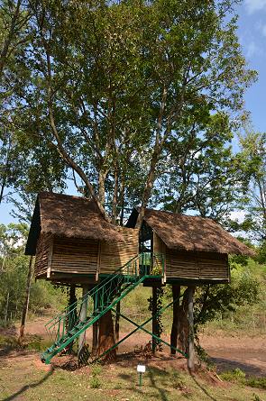 Das Baumhaus