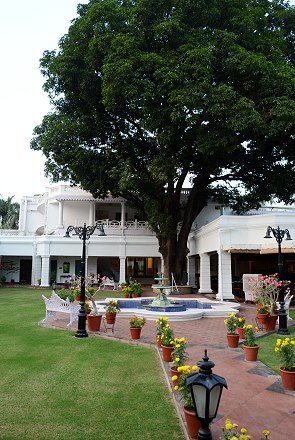 Innenhof mit Mango Tree
