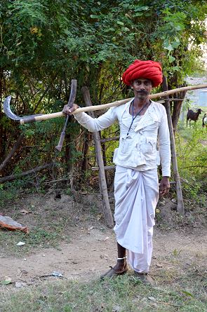 Rabari Hirte
