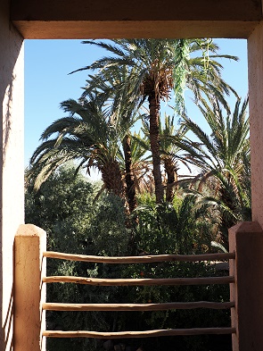 Blick aus der Außendusche