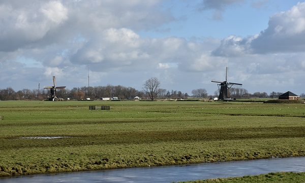 Polderlandschaft mit Mühlen