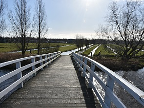 Brücke