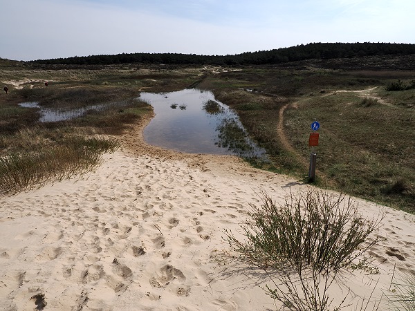 Blick zum Brackwasser