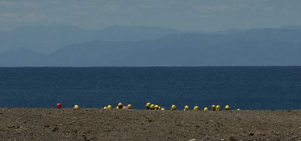 Seltenen Gelbhelm-Schildkröten entern den felsigen Strand...
