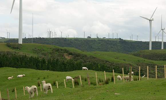 Windfarm