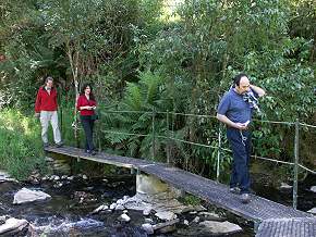 Versteinerte Muschel