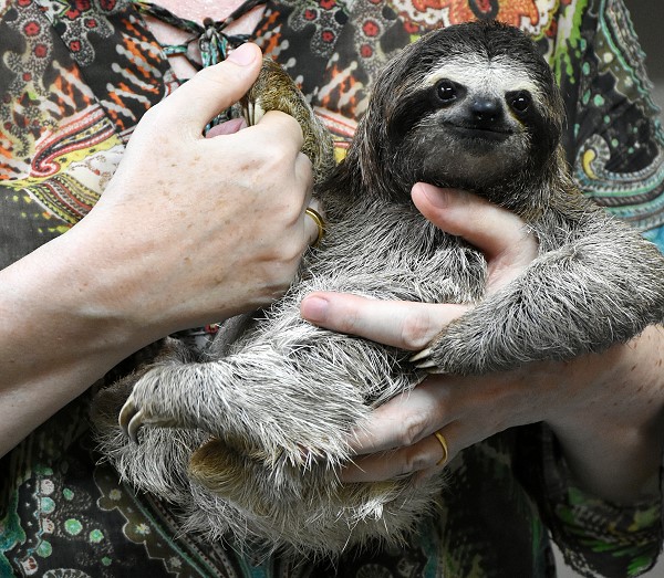 Einfach nur niedlich