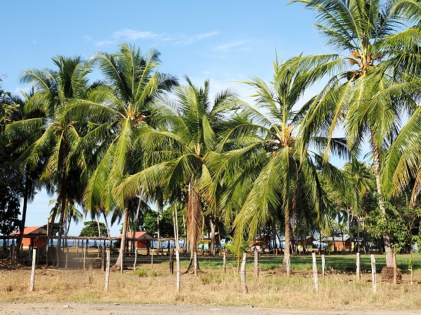 Benachbartes Resort