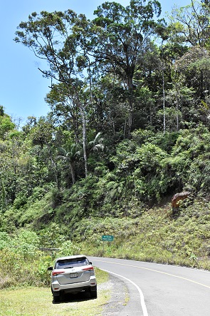 Strasse im Nationalpark