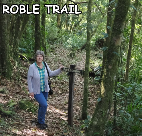 Am Roble Cove Schild