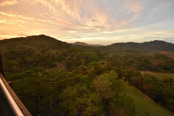 Abendstimmung vom Zimmer