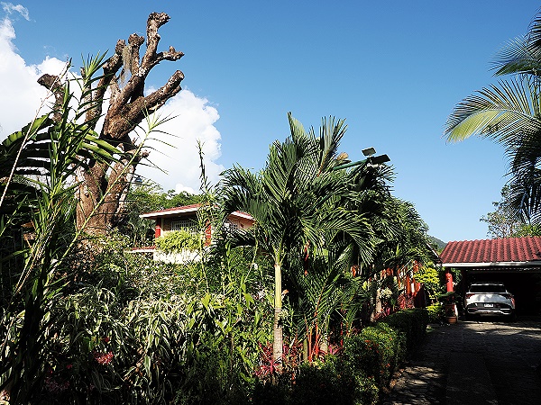 Stellplatz und Garten