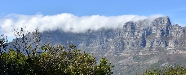 Blick vom Signal Hill