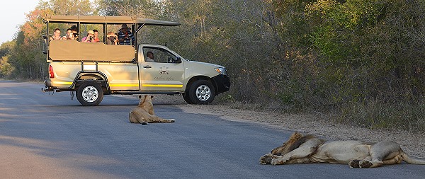 Mitten auf der Strasse