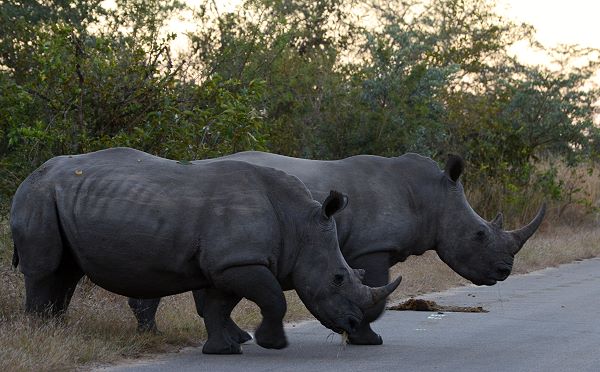 Kurz vor Sonnenuntergang