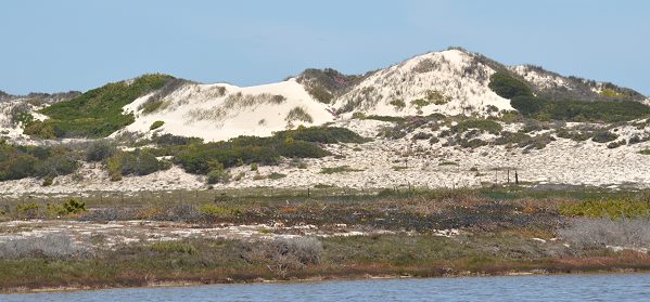 Dünenlandschaft