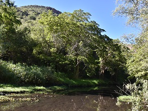 Fluss