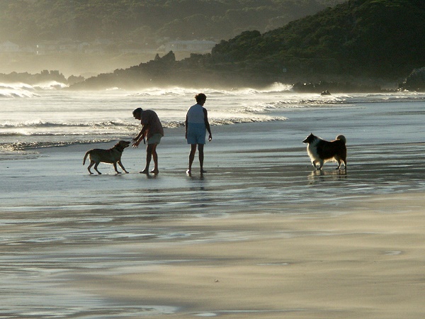 Abendspaziergang im Gegenlicht