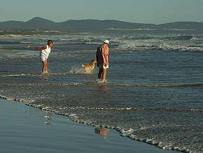 Spaziergang mit Hund