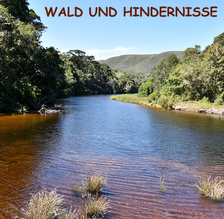 Blick von der Brücke