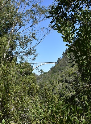 Sicht auf die Brücke