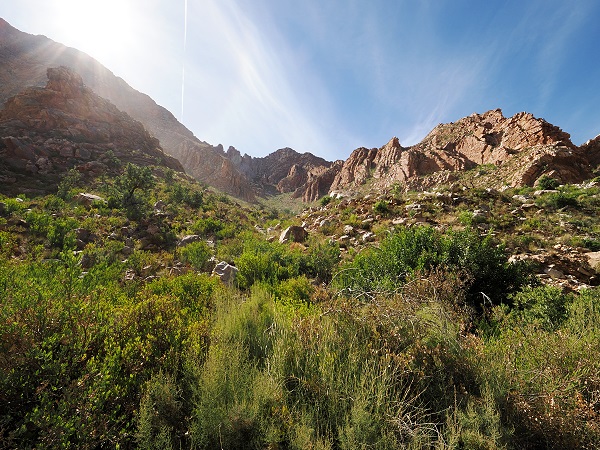 Richtung Swartbergpass