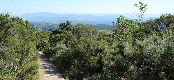 Weg zu God´s Window