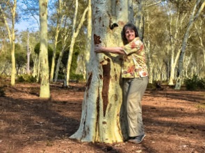 Tree Hugger