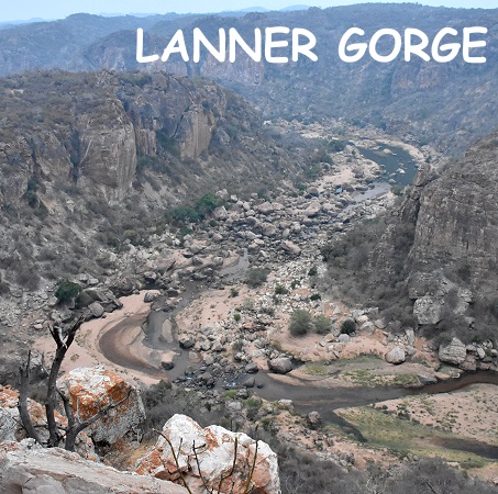 Blick in die Schlucht