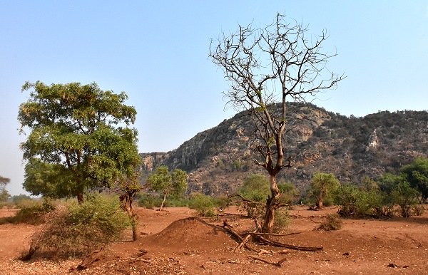 Landschaft