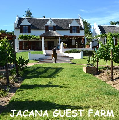 Manor House und Weinreben