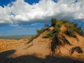 Düne