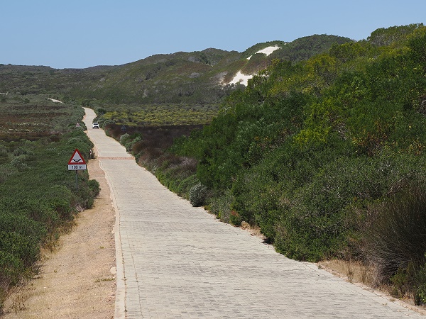 Gepflasterte Streße