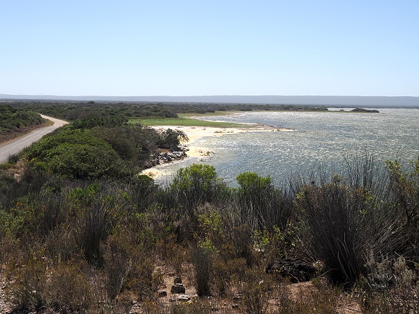 Am Vlei