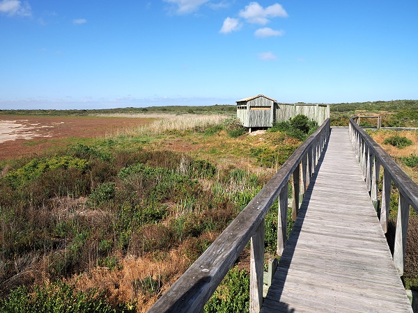 Birdhide