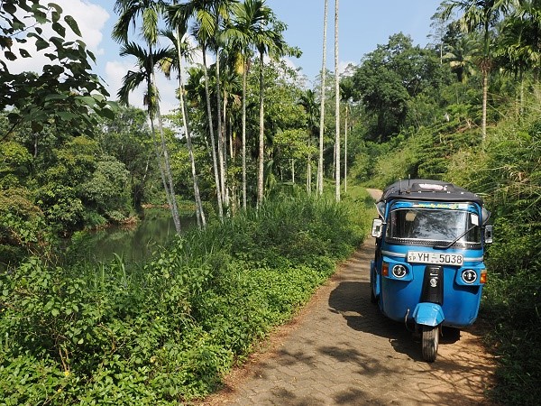 TukTuk im Grünen