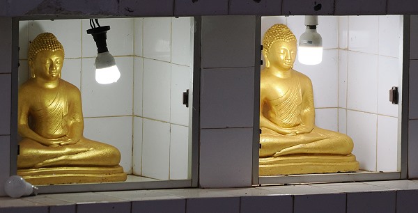 Buddhas