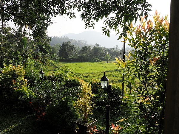 Blick von der Unterkunft