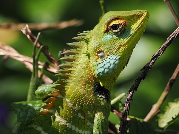 Wenige Minuten später