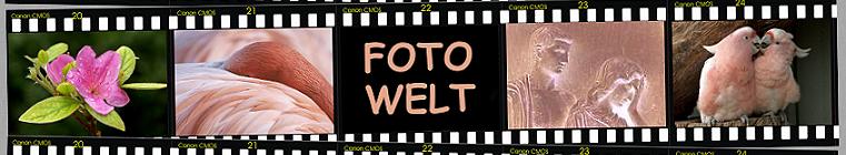 Zur Fotowelt, Reisefotos, Fotogalerien, Israel, Zoo, Gru&szlig;karten